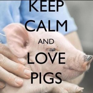 Meet your Posher, Ann